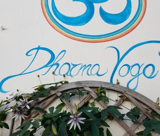 ABBIAMO RIPRESO I CORSI YOGA AL DHARMA E HA INIZIATO A FIORIRE LA PASSIFLORA . ERA UNA PIANTINA PICCOLA !